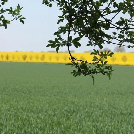 Mit Eigener Terrasse In Russow Casa vacanze Rerik
