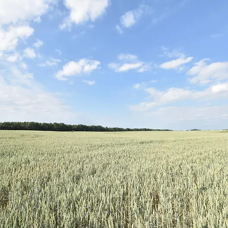 Mit Eigener Terrasse In Russow *