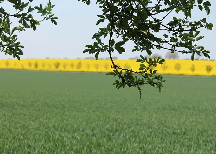 Mit Eigener Terrasse In Russow 別荘 レリク