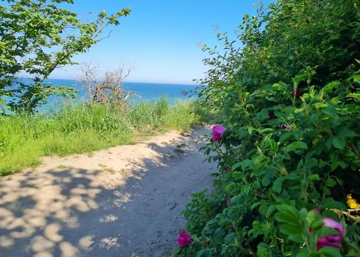 別荘 Mit Eigener Terrasse In Russow レリク