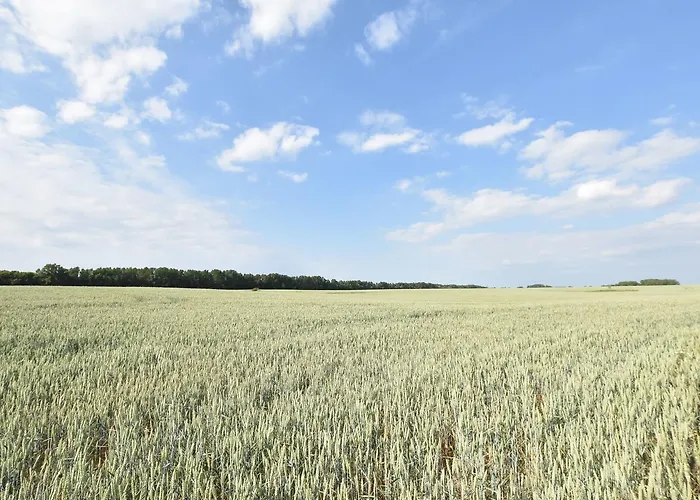 Mit Eigener Terrasse In Russow *
